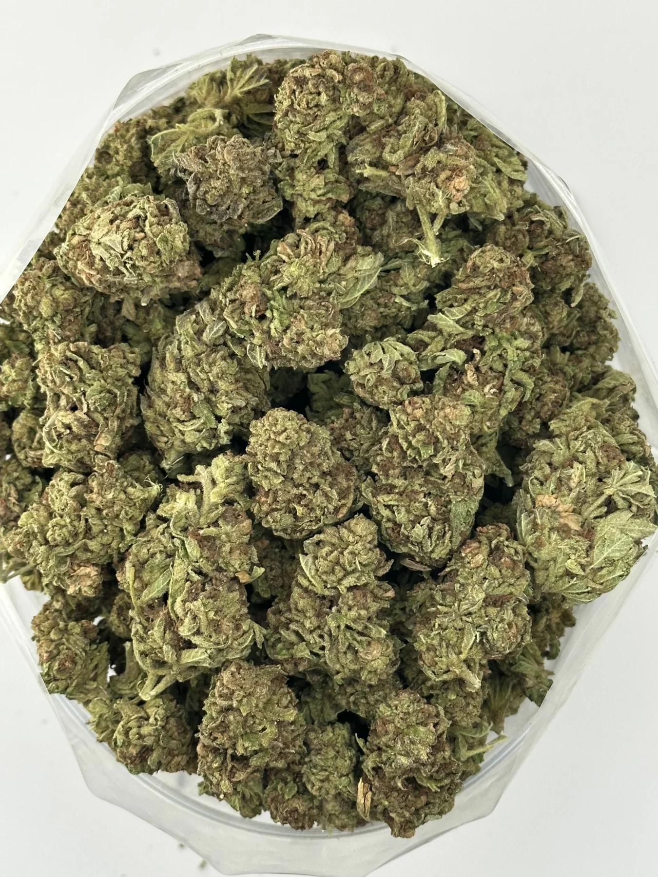 Lemon Tangie — batch 15