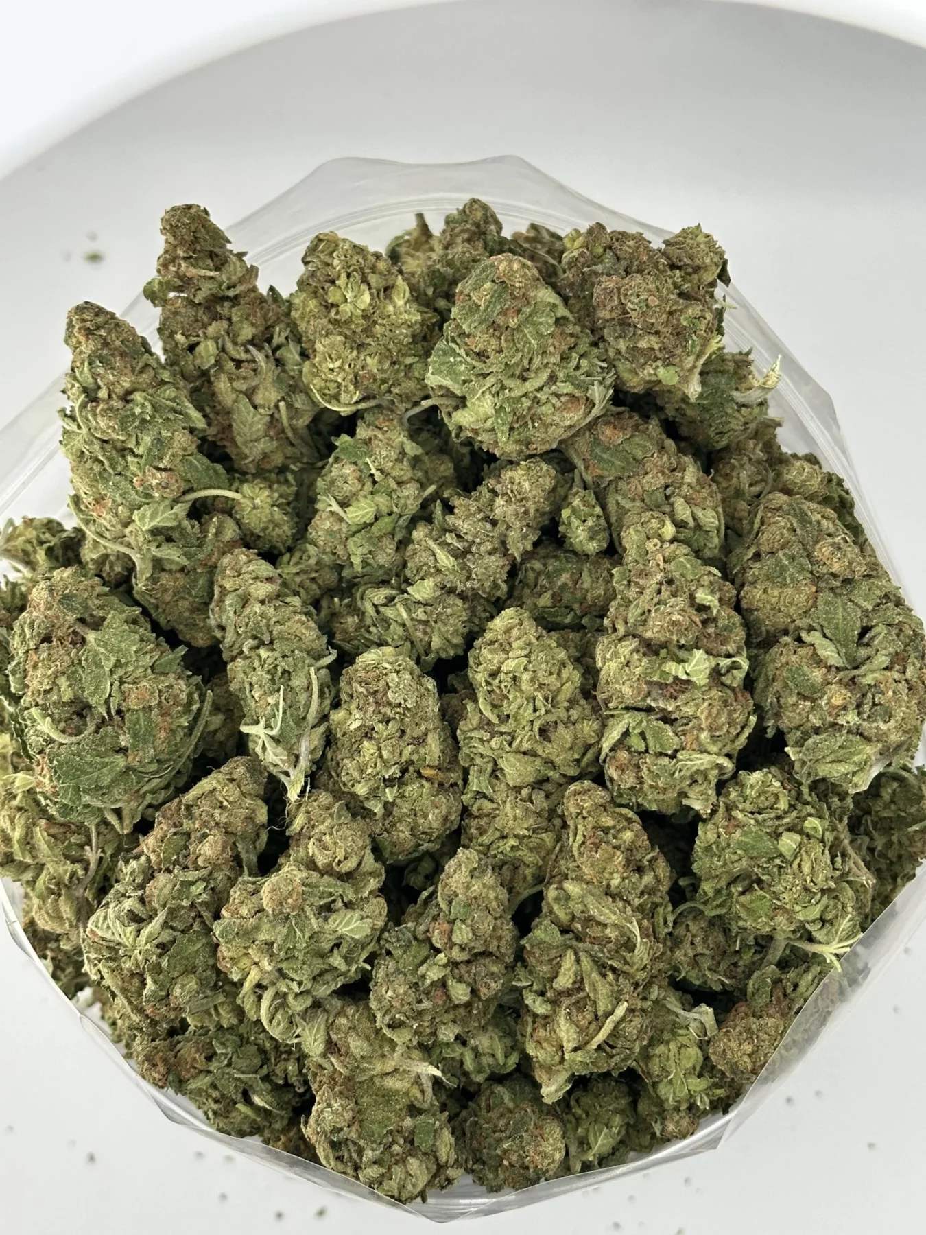 OG Kush — batch 12