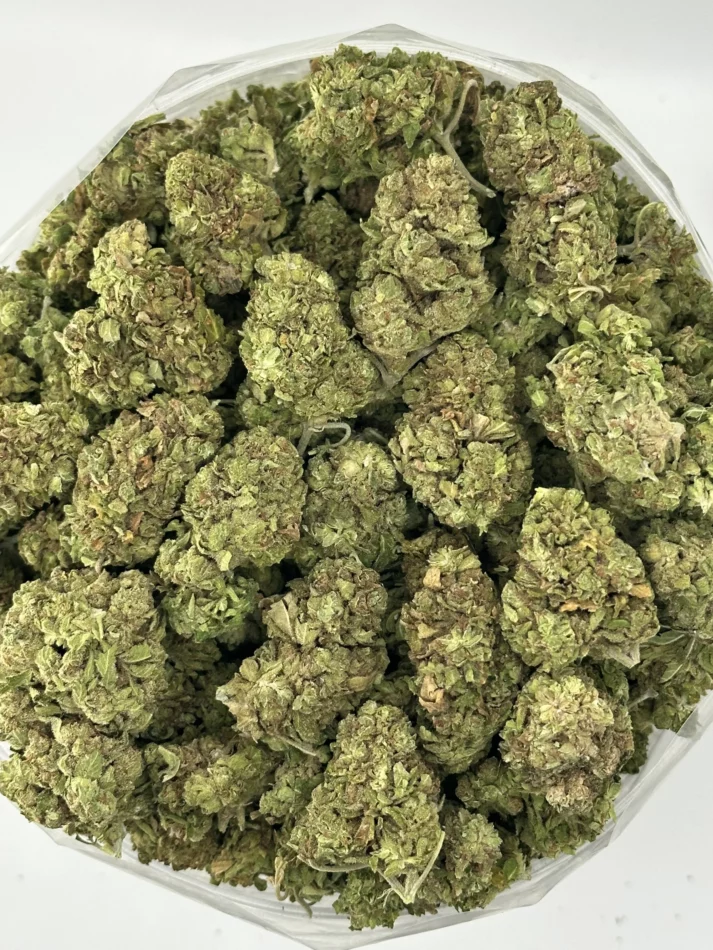 Chief’s Pick — batch 11