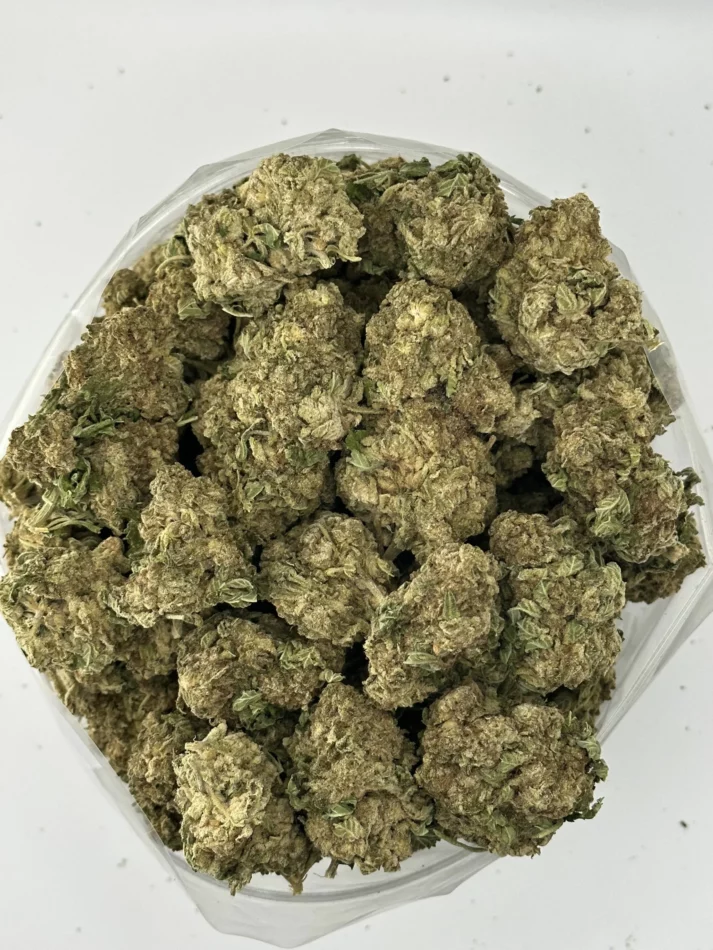 Skunk — batch 05