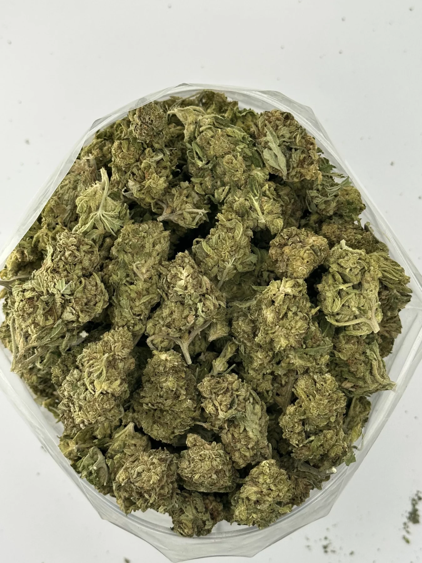 OG Purple Kush — batch 04
