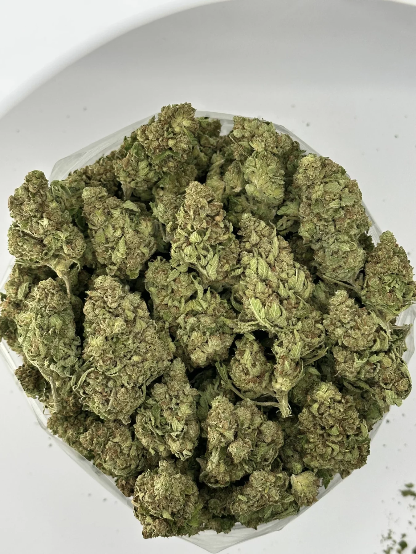 Trump OG — batch 03