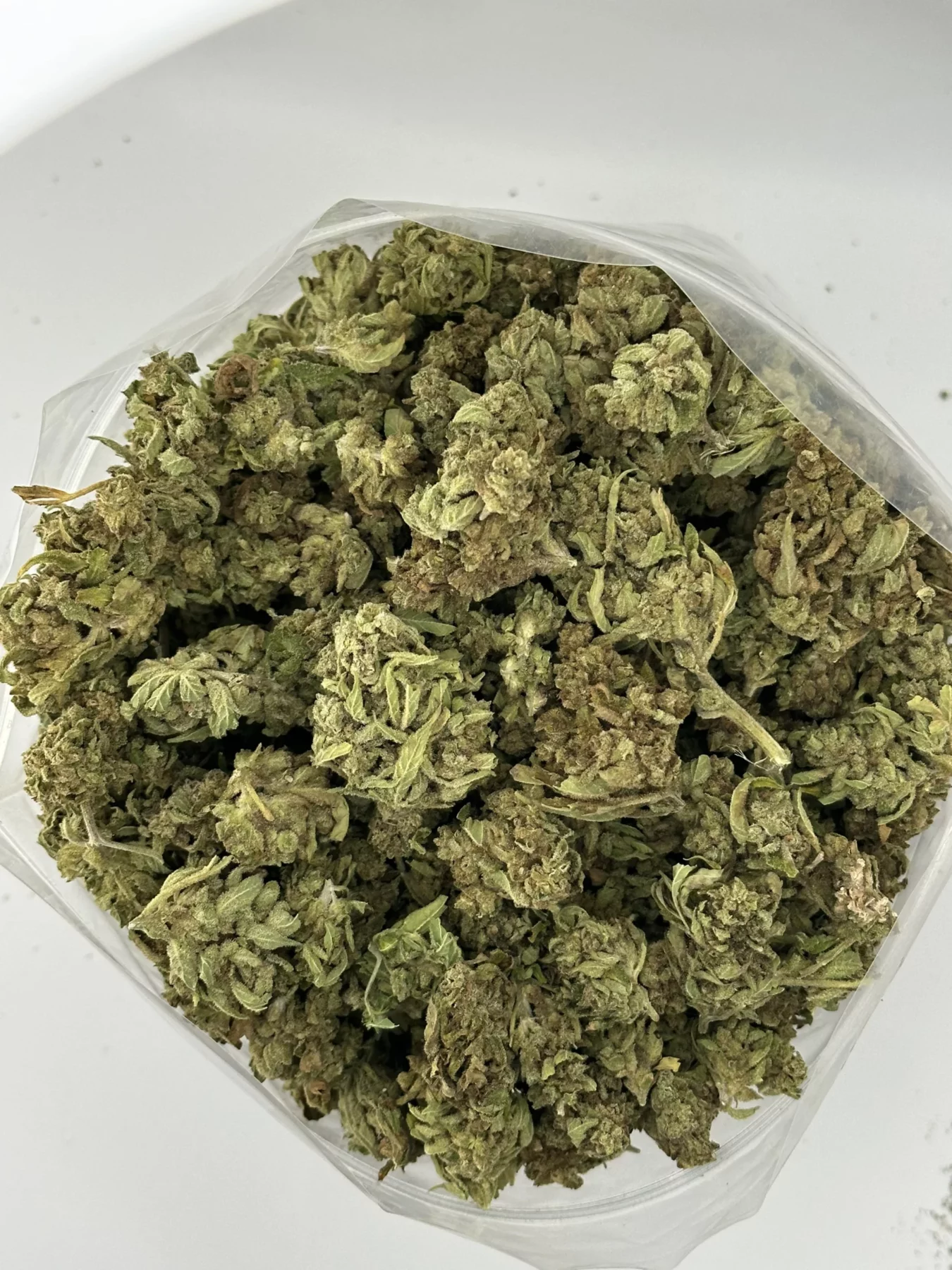 Fruit Berries — batch 07