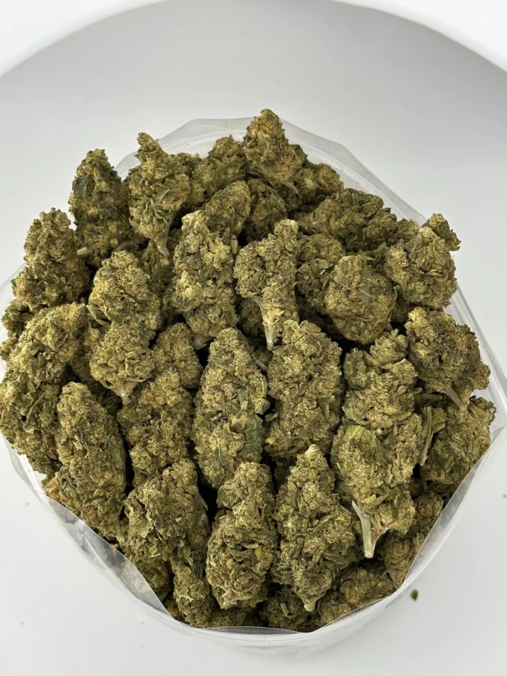 Hawaiian Boxer — batch 37