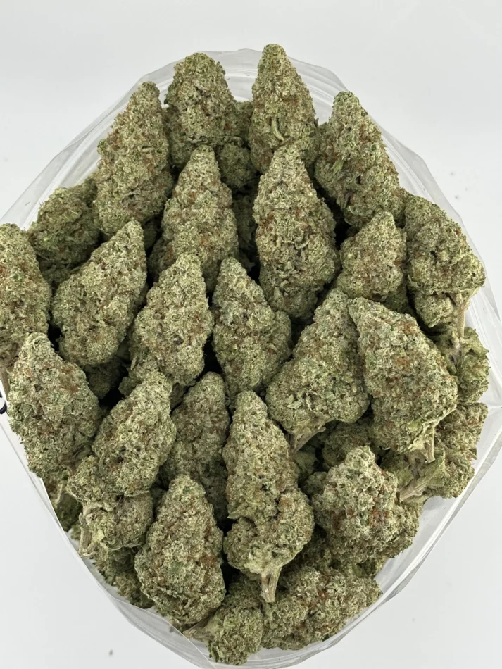 Grape Pie — batch 47