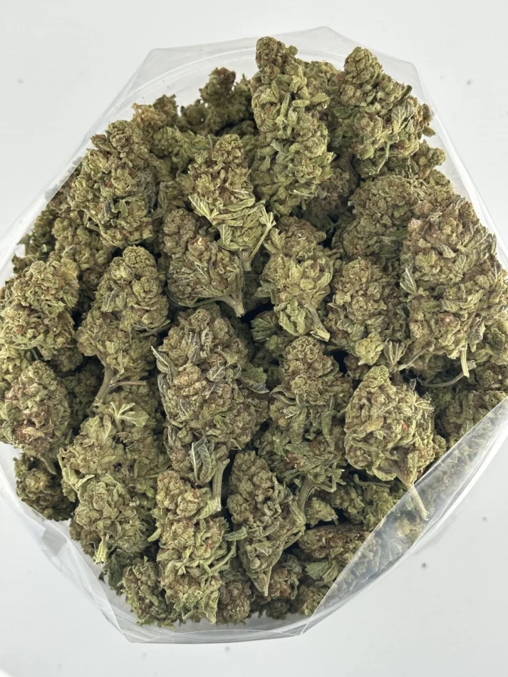 Mars — batch 50